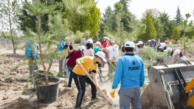 Arıtma Tesisi Alanına 300 Fidan Dikildi