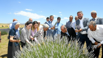 Başkan Gürkan Lavanta Hasadına katıldı