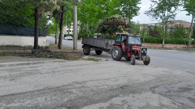 Büyükşehir Belediyesi Parkları Ve Refüjleri Yeniliyor 