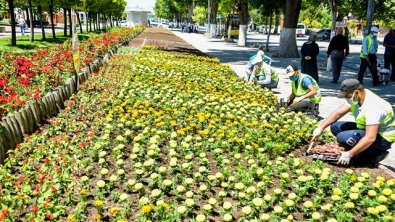 Malatya Parklarınıyazlık Çiçekler Süslüyor