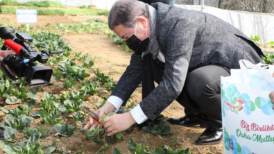 Seralarda yetişen sebzeler ihtiyaç sahiplerine ulaştırılıyor